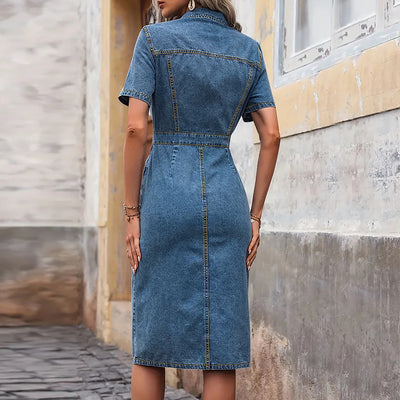 Orris Blue Denim Dress